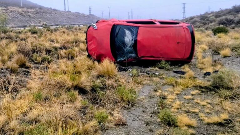 Robó un auto y lo volcó en la ruta 39